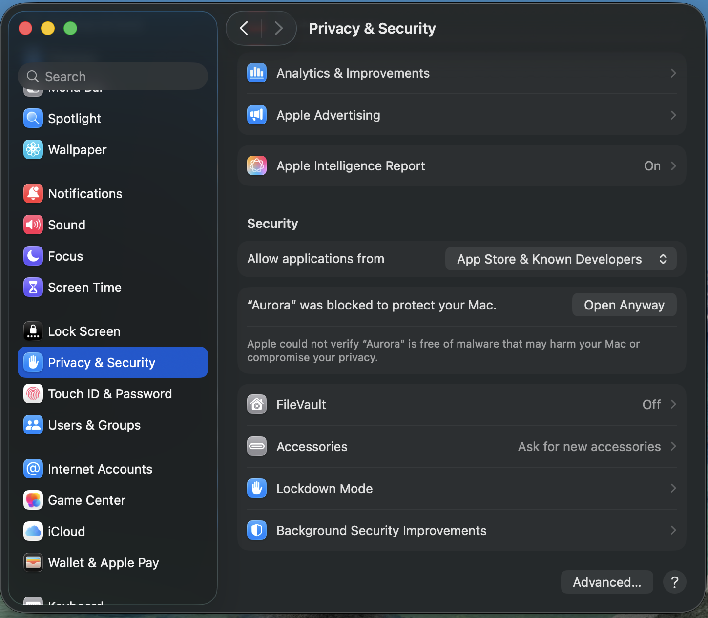 Privacy & Security: Open Anyway